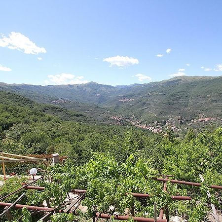 Agriturismo Nonni Devia Lucinasco Экстерьер фото