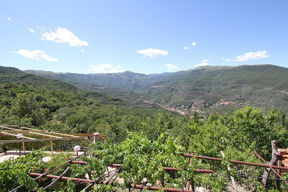 Agriturismo Nonni Devia Lucinasco Экстерьер фото