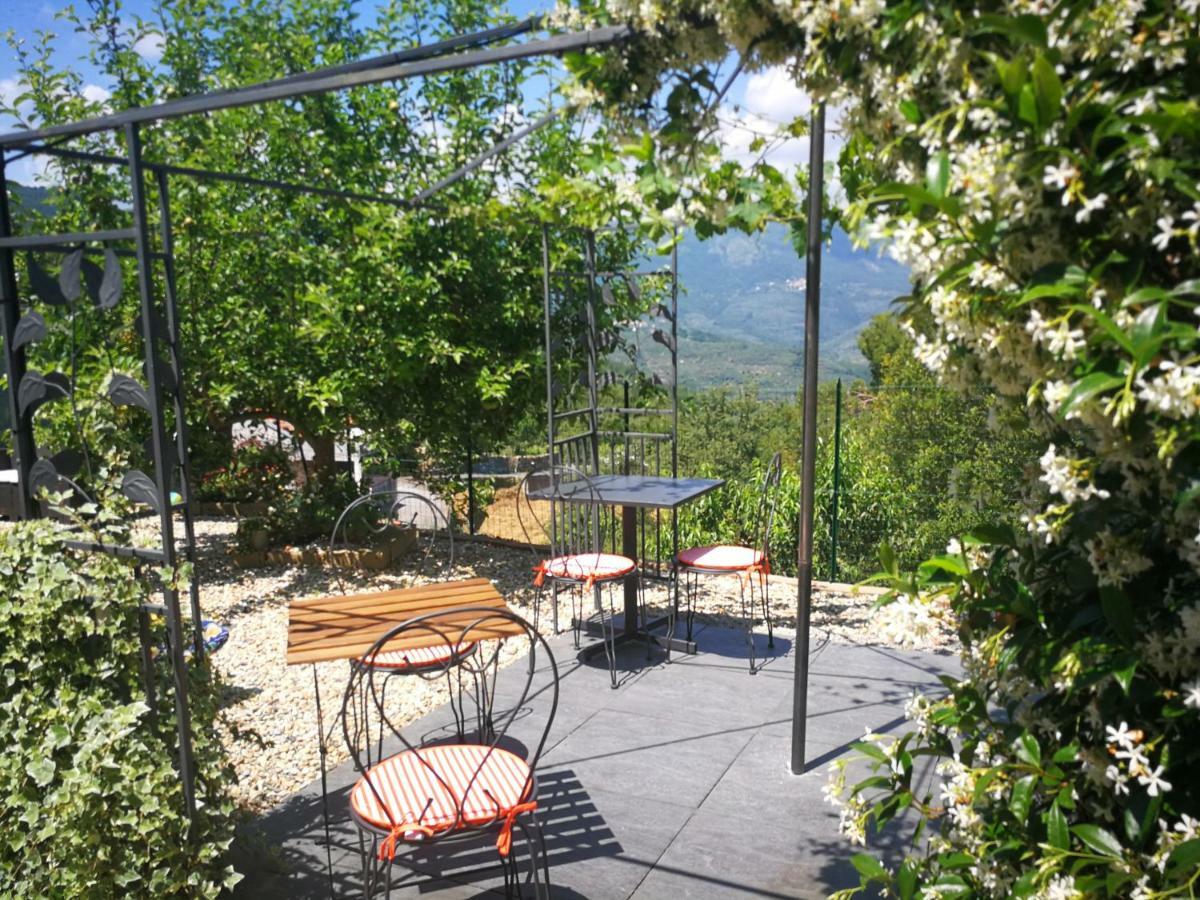 Agriturismo Nonni Devia Lucinasco Экстерьер фото